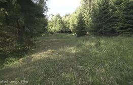 Teren intravilan de top – Colibița | 16.945 mp | Panoramă munți si lac