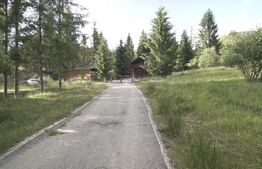 Teren intravilan de top – Colibița | 16.945 mp | Panoramă munți si lac