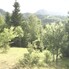 Teren de vânzare Exterior Nord - 187744TV - Poza 1 din 7 | BLITZ Bistriţa | Poza6