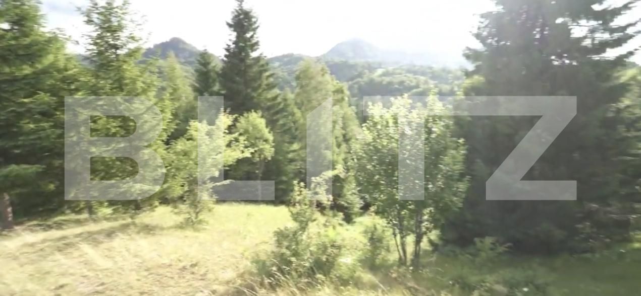 Teren de vânzare Exterior Nord - 187744TV | BLITZ Bistriţa | Poza7