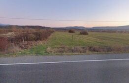 Teren extravilan pentru activități comerciale – Livezile, DN17