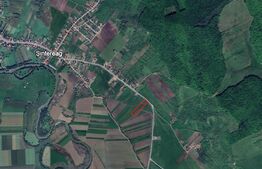 Teren in Sintereag, 1.3 hectare