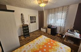 Casa de vanzare - Comuna Nimigea