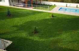 Tihnă, spațiu și bucuria de a trăi: O proprietate de excepție in sat Feleac