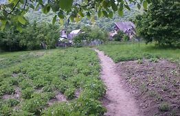 Casă batraneasca cu teren 12 ari – zonă centrală, Năsăud