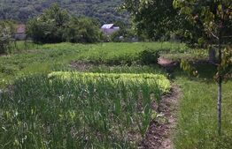 Casă batraneasca cu teren 12 ari – zonă centrală, Năsăud