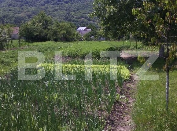 Casa de vânzare 4 camere Nasaud - 188041CV | BLITZ Bistriţa | Poza5