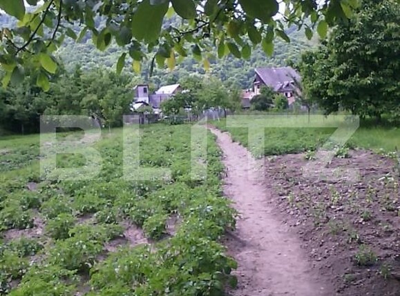 Casa de vânzare 4 camere Nasaud - 188041CV | BLITZ Bistriţa | Poza4