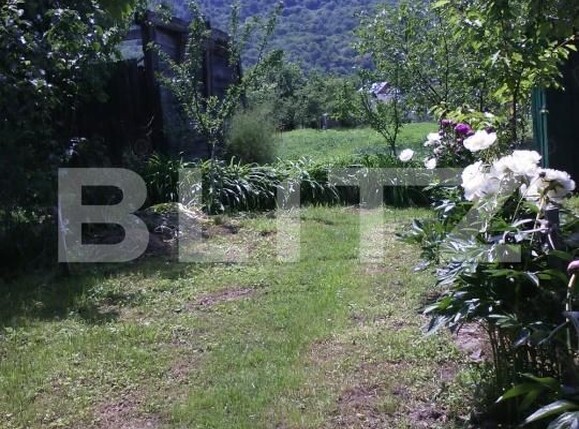 Casa de vânzare 4 camere Nasaud - 188041CV | BLITZ Bistriţa | Poza3