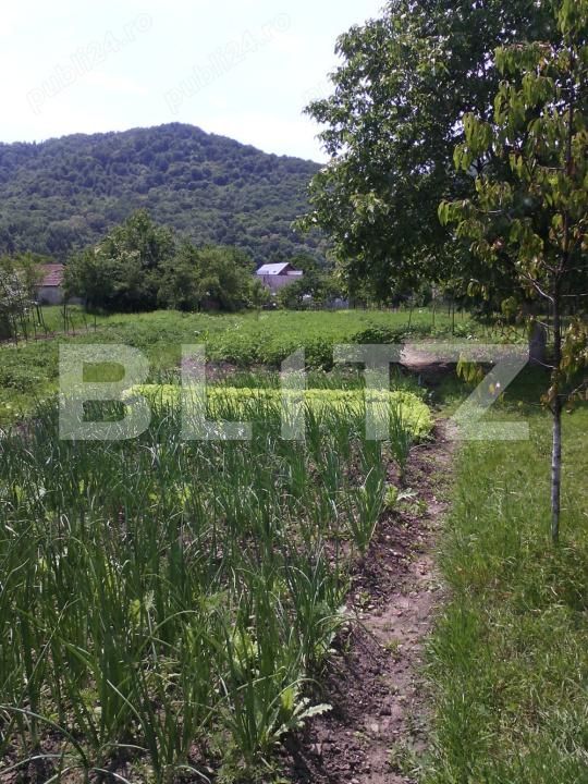 Casa de vânzare 4 camere Nasaud - 188041CV | BLITZ Bistriţa | Poza5