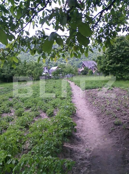 Casa de vânzare 4 camere Nasaud - 188041CV | BLITZ Bistriţa | Poza4