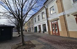 Spațiu comercial de închiriat Calea Moldovei - 185220SIC | BLITZ Bistriţa | Poza1