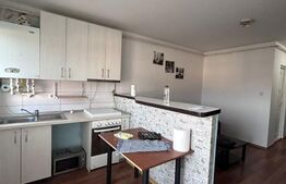 Garsoniera de vanzare, 26 mp, Independentei