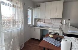 Garsoniera de vanzare, 26 mp, Independentei