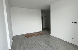 Apartament 1 camera, 30mp, zona Terra