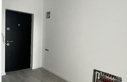 Apartament 1 camera, 30mp, zona Terra