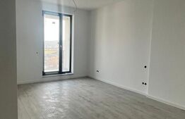 Apartament 1 camera, 30mp, zona Terra