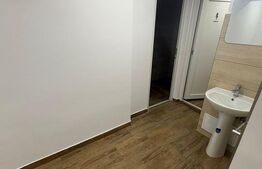 Spatiu de birouri, zona centrala