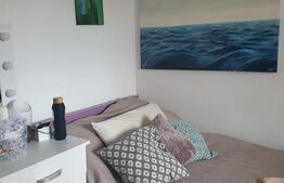 Apartament 2 camere - CENTRAL