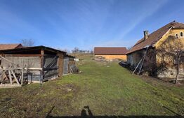 Casa cu teren 3.800 mp, cu 35 m front stradal, la 10 km de Bistrița, Monariu