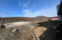 🏢 Clădire Comercială/Pensiune - Zona Teraplast - Front 96 ml + Teren