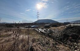 🏢 Clădire Comercială/Pensiune - Zona Teraplast - Front 96 ml + Teren