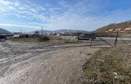 🏢 Clădire Comercială/Pensiune - Zona Teraplast - Front 96 ml + Teren