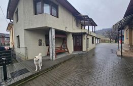 2 Case deosebite de vanzare - Zona Rebrisoara