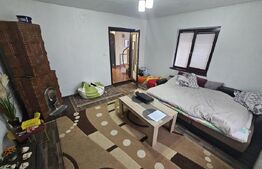 2 Case deosebite de vanzare - Zona Rebrisoara