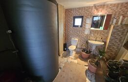 2 Case deosebite de vanzare - Zona Rebrisoara