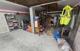 2 Case deosebite de vanzare - Zona Rebrisoara