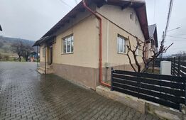 2 Case deosebite de vanzare - Zona Rebrisoara