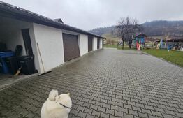 2 Case deosebite de vanzare - Zona Rebrisoara