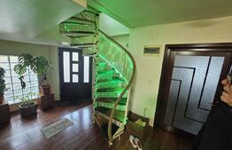 2 Case deosebite de vanzare - Zona Rebrisoara