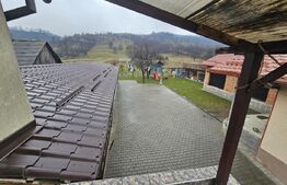 2 Case deosebite de vanzare - Zona Rebrisoara