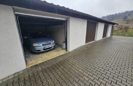 2 Case deosebite de vanzare - Zona Rebrisoara