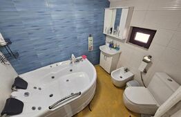 2 Case deosebite de vanzare - Zona Rebrisoara