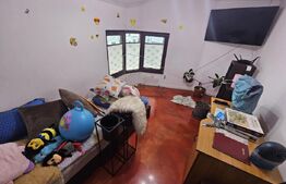 2 Case deosebite de vanzare - Zona Rebrisoara