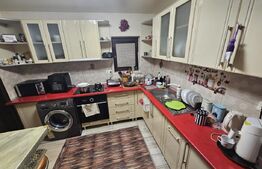 2 Case deosebite de vanzare - Zona Rebrisoara