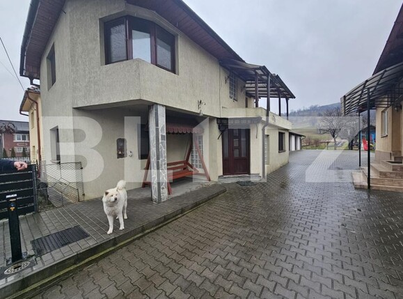 Casa de vânzare 5 camere Nasaud - 188736CV | BLITZ Bistriţa | Poza1