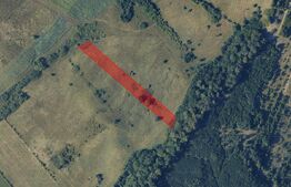 Teren de vânzare Unirea - 169267TV | BLITZ Bistriţa | Poza4