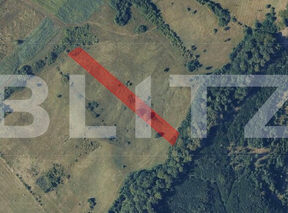 Teren de vânzare Sud-Vest - 188737TV | BLITZ Bistriţa | Poza1