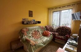 Apartament central, 3 camere, zona Plopilor 