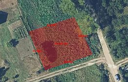 Teren intravilan 7,15 ari - construcție casă, zonă liniștită Valea Rusului