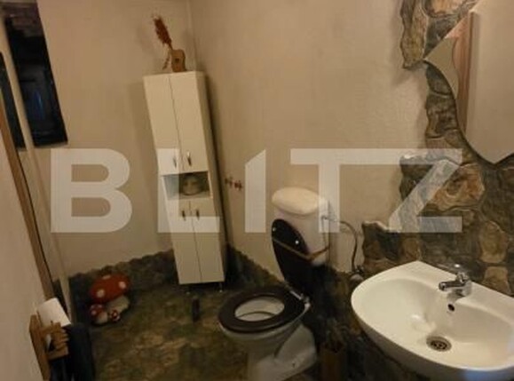 Casa de vânzare 5 camere Central - 189023CV | BLITZ Bistriţa | Poza12