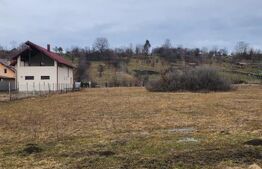 Teren intravilan,comuna Livezile,ocazie buna de investitie!