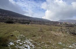 Comision 0 -Teren intravilan 20 arii acces DN15, Viisoara