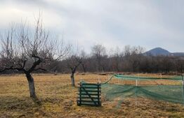 Teren extravilan, 20 de arii, Valea Rusului, pretabil pentru investitie!