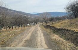 Teren extravilan, 20 de arii, Valea Rusului, pretabil pentru investitie!