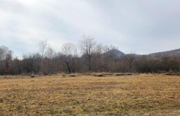 Teren extravilan, 20 de arii, Valea Rusului, pretabil pentru investitie!